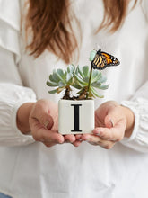 suculentas-maceta-con-iniciales-cactus-plantas-regalos-con-suculentas-regalos-para-mujer-cuidado-de-suculentas-maceta-en-ceramica-crisalida-de-mariposa-capullo-pupa-habibi-plantitas.jpg
